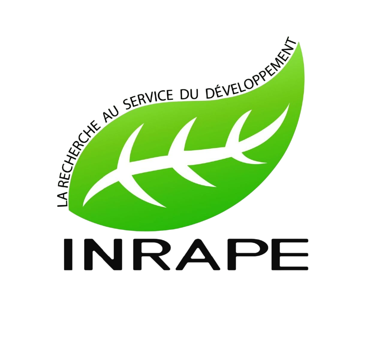INRAPE